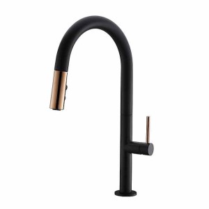 Kitchen Faucet,Rotatable Pull-out/­Pull-down Brass High Arc Brushed/Painted Finishes Single Handle One Hole Kitchen Taps with Hot and Cold Switch